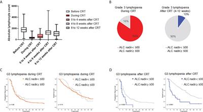 Prediction and clinical impact of delayed lymphopenia after chemoradiotherapy in locally advanced non-small cell lung cancer